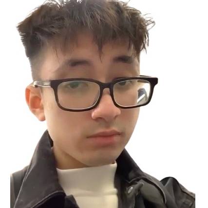 HOANG HAI VU