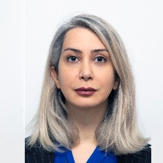 Niloufar Amizadeh