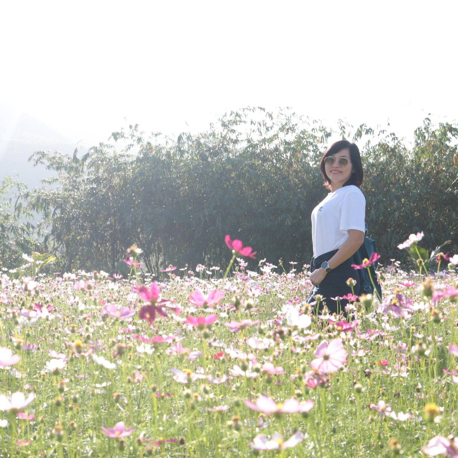 THI THAI THANH HOANG