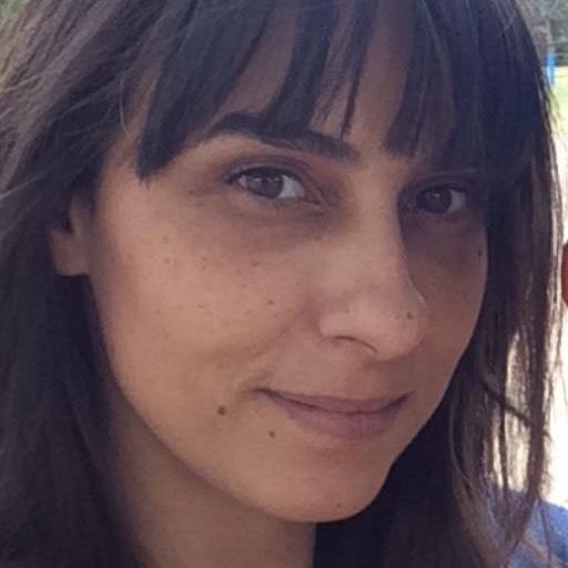 Dana Al Najjar