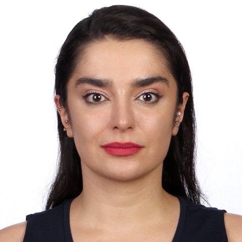 Rozhina Gholam Shahbazi