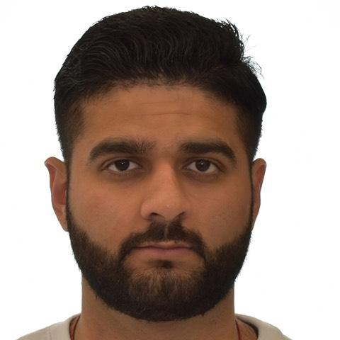 Vikas BHOLEWASIA