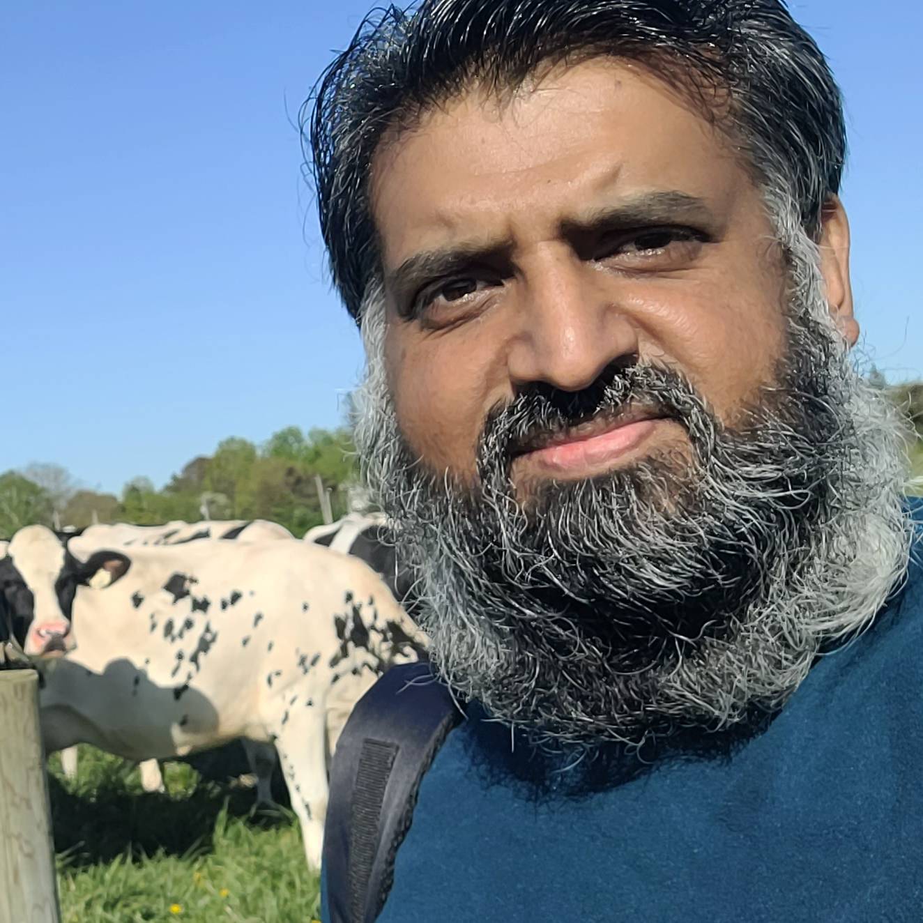 IMRAN HASSAN