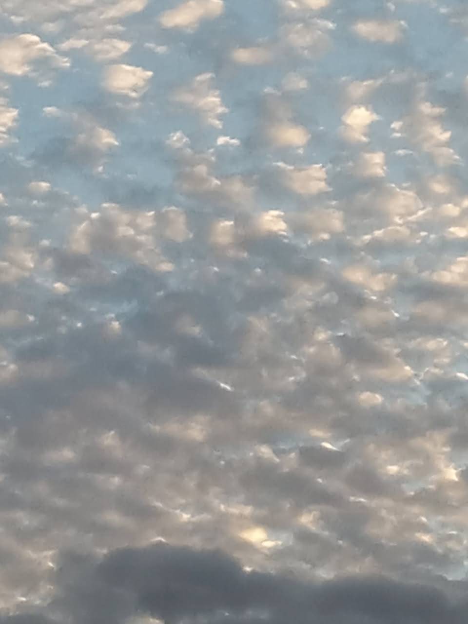 web