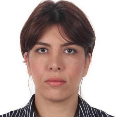 Maryam Moalemzadeh Ansari
