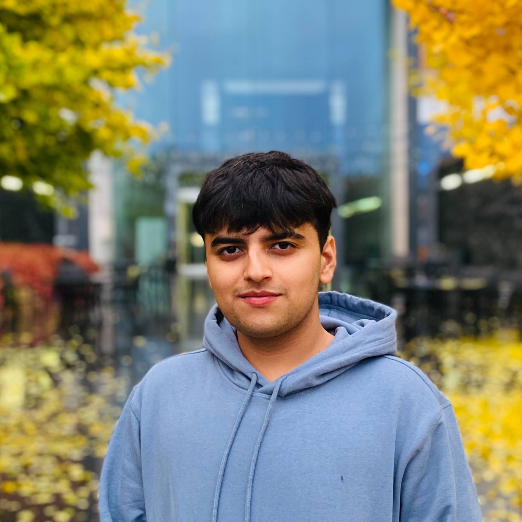 Mohit Mohit