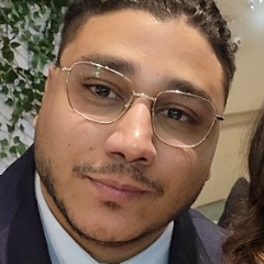 AYMAN ELMASRY